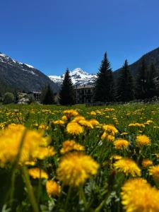 La Tavernetta di La Thuile