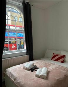 Cosy Central Apartment in Camden, Central London