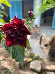 Casa Rústica proximo da praia