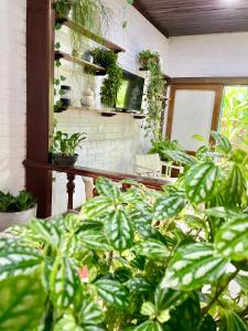 Casa Rústica proximo da praia