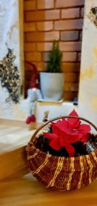 Domki i dom w sadzie Stegna z podgrzewanym basenem - prywatne jacuzzi przy domu
