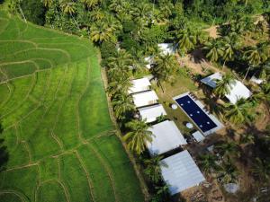 White House Safari Cottage