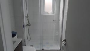 Departamento Céntrico Valdivia,Isla Teja