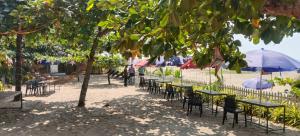 Palm Beach Resort, Alleppey