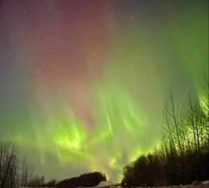 Riverfront, Authentic, Luxury Log Cabin-Bull Moose