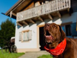 Ferienhaus im Landhausstil im Vital Camp Bayerbach