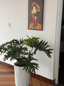 Daisy Apartment & Hotel Cẩm Phả