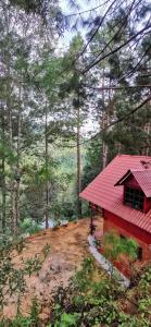 Cabaña pinos mágicos