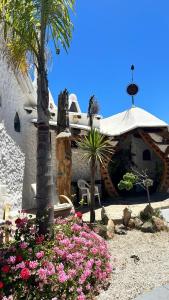 Floresta Concón Mantagua