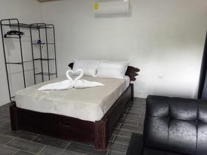 Pino Lodge, Río Celeste