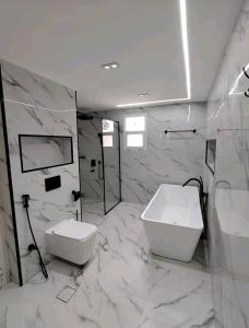 night pyramids view in