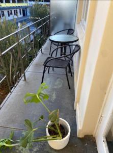 1BR Apt 2 min away from Fremantle Hospital - Hosted by Canstay