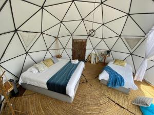 Glamping Familiar Naturaleza Aventura y Vista a la Montaña