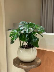 Grand Dilly Inn Saigon Hotel - Ben Thanh Market