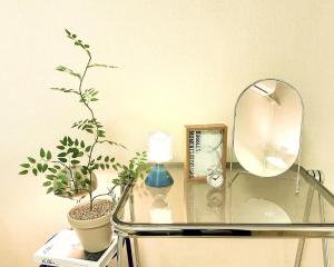 성수 안 스테이