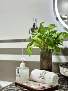 Apartment I Tây Hồ I Phố cổ I 1N1K TV I NETFLIX