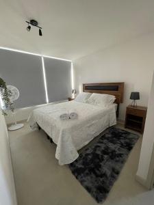 Aire Acondicionado Piscina Ropa de cama y Toallas Wifi plus Parking PISO 21