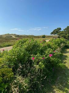 Sommerhus Med Havudsigt Nær Børnevenlig Strand