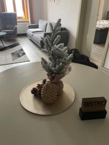 Apartmán 184 - Vysoké Mýto