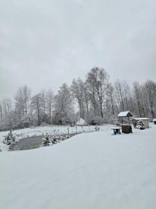 Glamping in - luxury tent