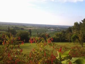 B&B / Chambres d'hotes En Rouge et Noir : photos des chambres