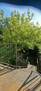 London Wandsworth 4 bedrooms 2 Baths Garden Flat