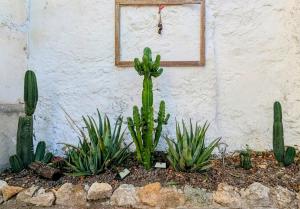 Historic house 5 minutes walk from the beach