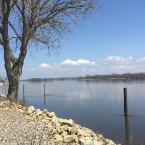 Mississippi waterfront getaway-Dogs Welcome!