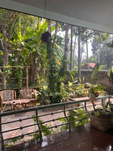 GingerLime Surf and Bakery House