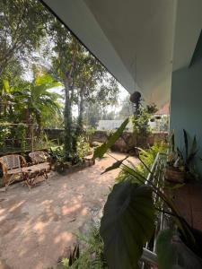 GingerLime Surf and Bakery House