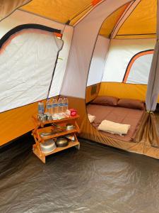 Pakis Camping Cikole