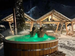 Pensiunea Poiana Izvoarelor