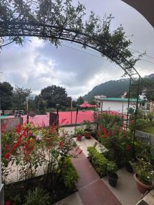 Just naturals Pauls Cottage