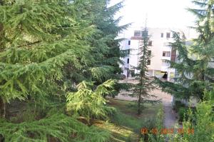 Apartman Dragica