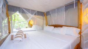 Glamping in the sky and tree house