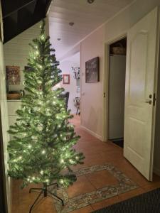 SouthBeach Live like your home