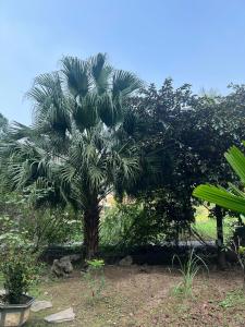 Trang An Maison Retreat