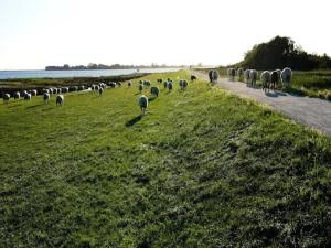 Apartments in the Avalon Hotel Bellevue, Fehmarn