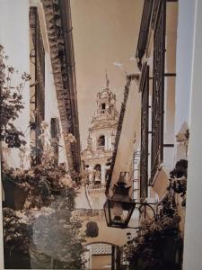 Nuevo y centrico, Santa Marina