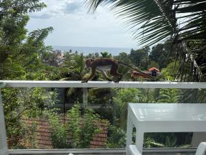 Seaview Mountain Villa