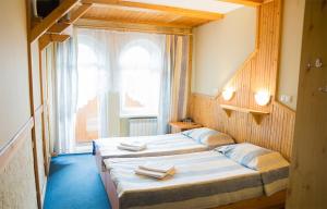 Standard Twin Room room in Perlyna Karpat