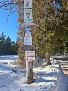 Apartma Ajdovka Rogla