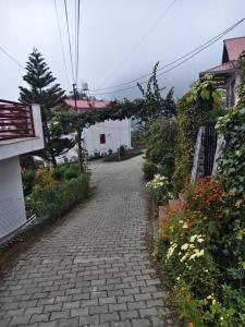 Just naturals Pauls Cottage