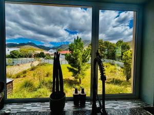 Fynbos Mountain View