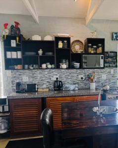 Fynbos Mountain View