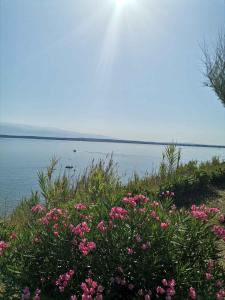 Apartment near Beach Sabunike-Zadar Riviera 55036