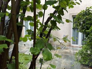 Apartment with A - C in Medulin-Istrien 51839