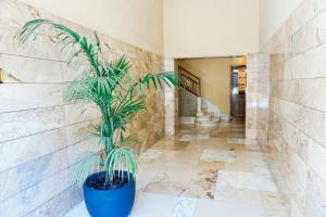 Easy Room italy Balcony Grand Apartments