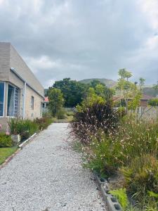 Fynbos Mountain View