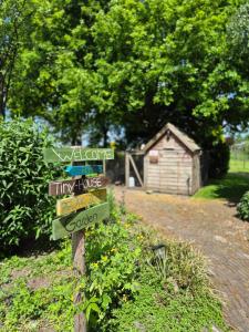 Tiny house on the Veluwe the outdoor life